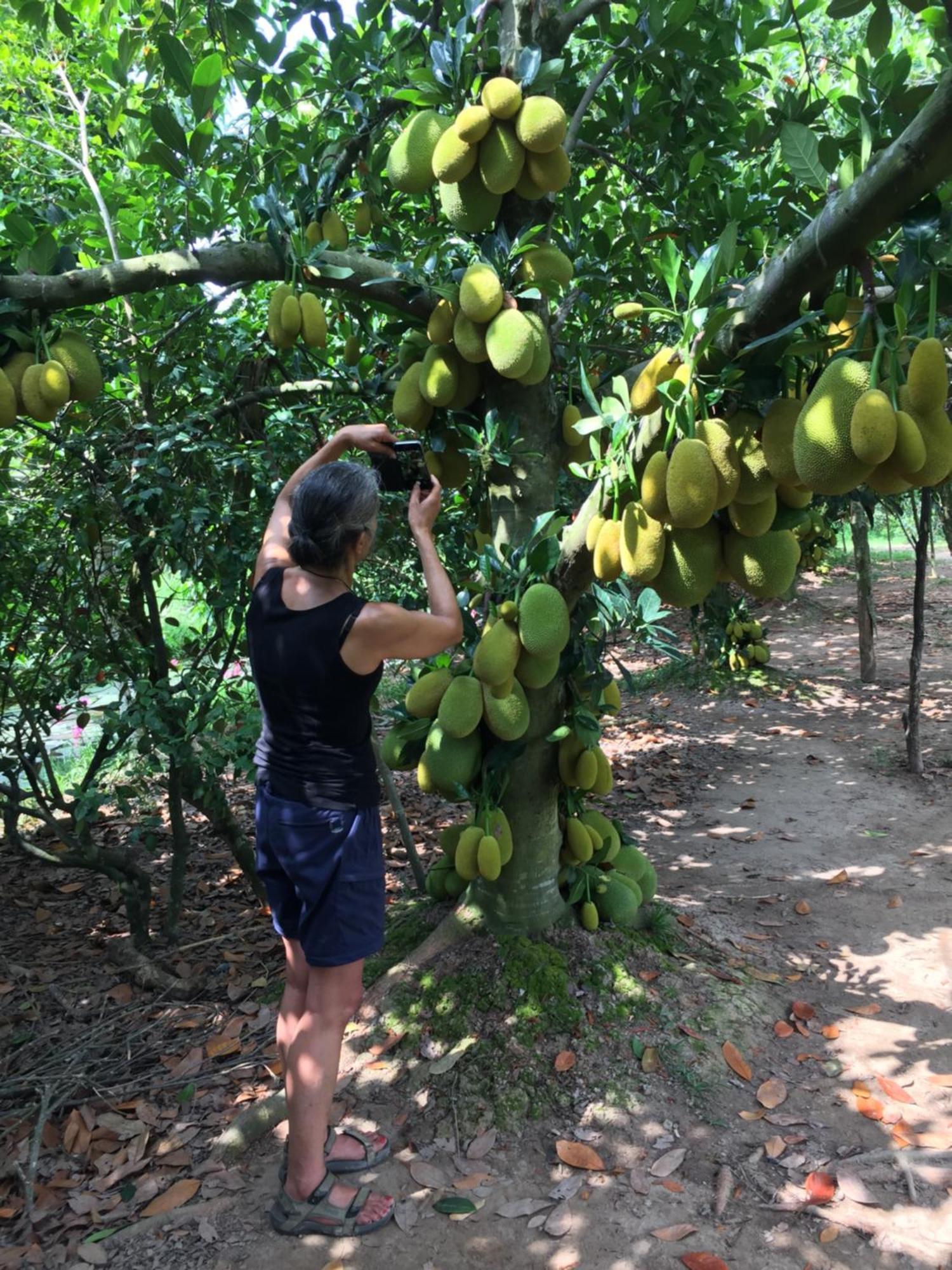 Mekong Farmstay Cantho - C.R Floating Market Can Tho Exterior foto